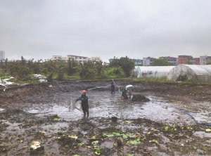 果洛河道鱼塘清淤